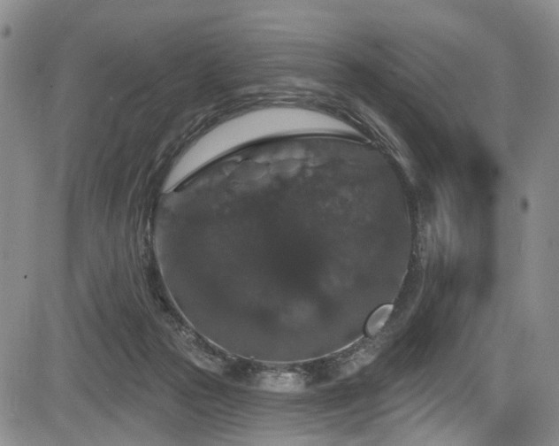 X0000084050169200702161516