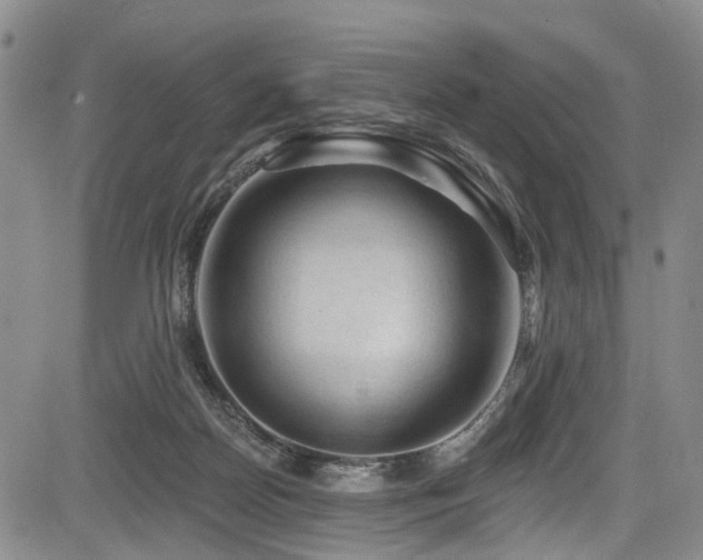 X0000084050170200702161516