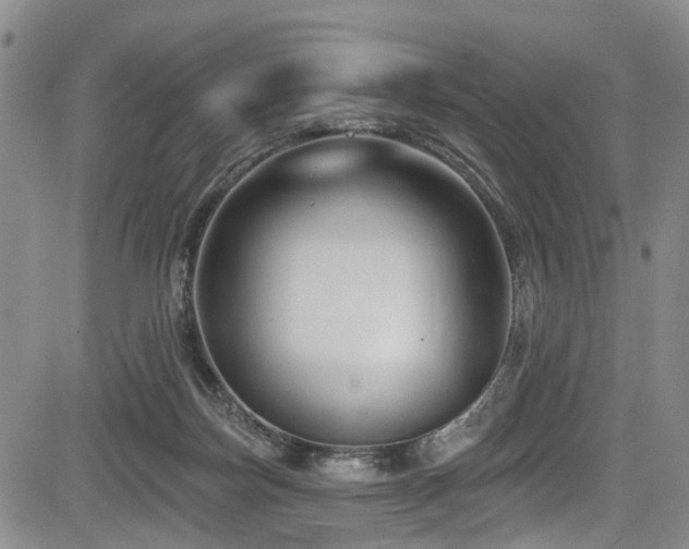 X0000084050171200702161516