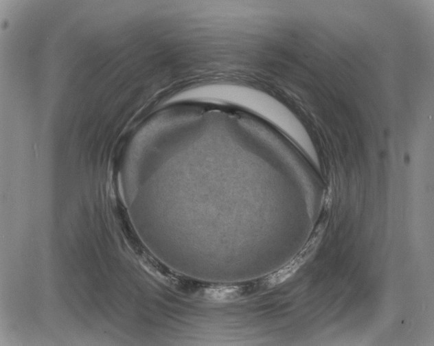 X0000084050172200702161516