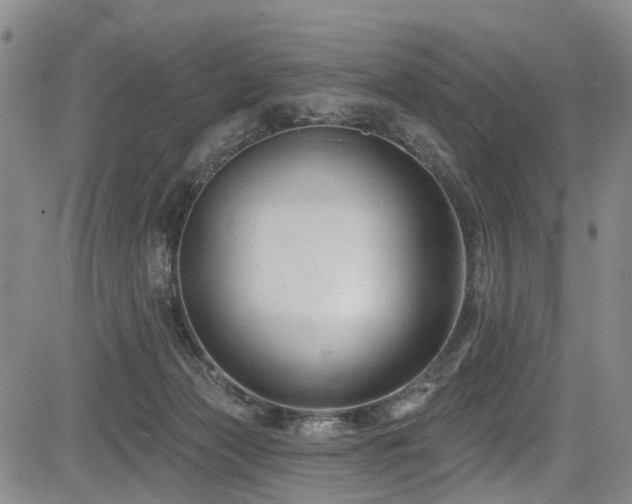 X0000084050173200702161516