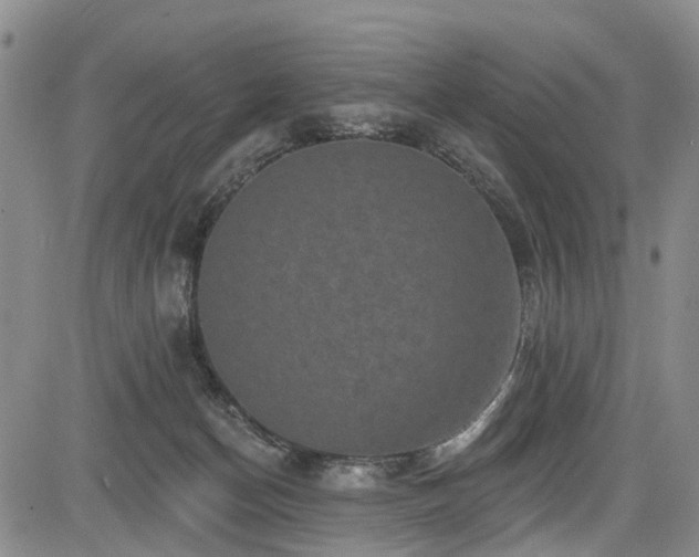 X0000084050174200702161516