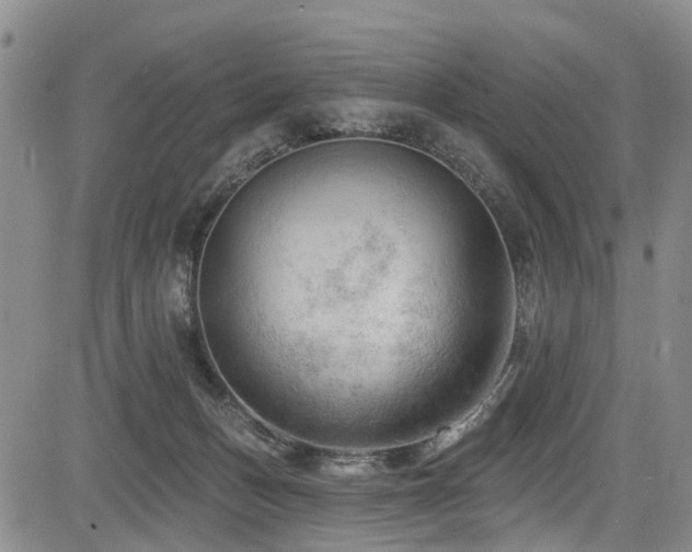 X0000084050175200702161516