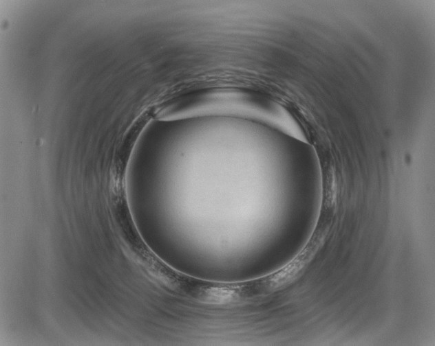 X0000084050176200702161516