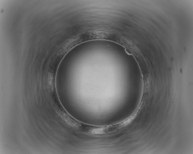 X0000084050178200702161516