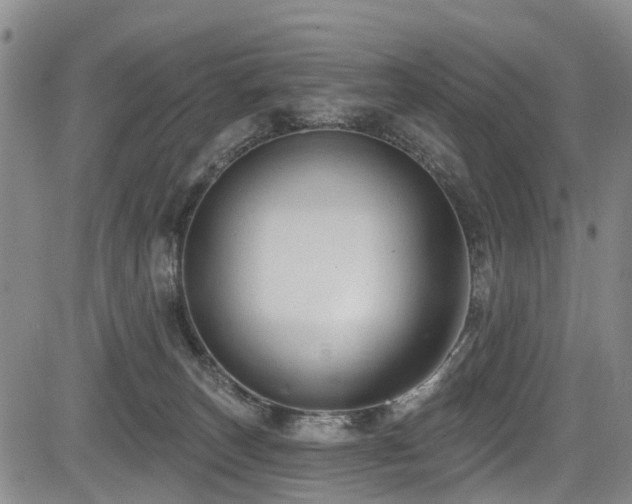 X0000084050179200702161516