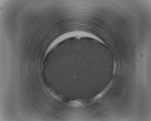 X0000084050180200702161516