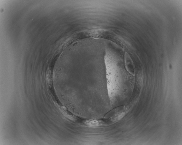 X0000084050181200702161516