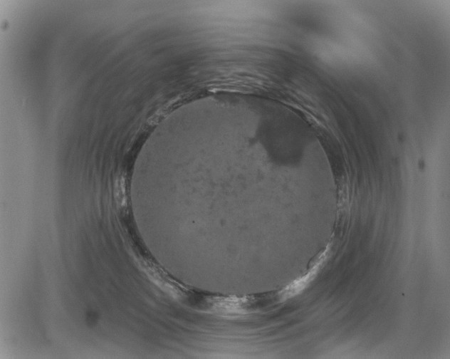 X0000084050182200702161516