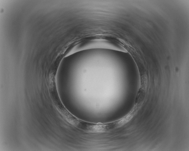 X0000084050184200702161516