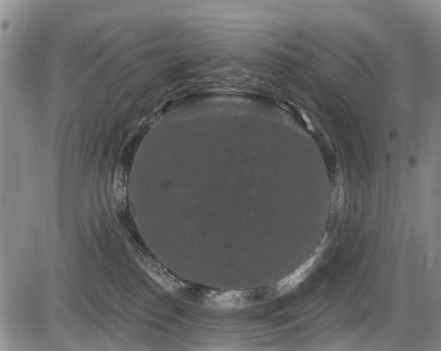 X0000084050186200702161516