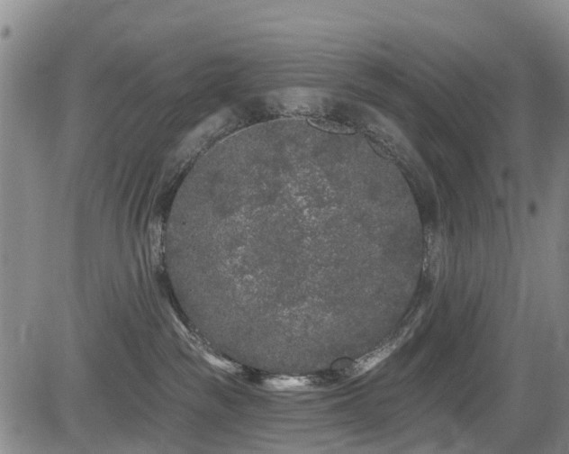 X0000084050189200702161516