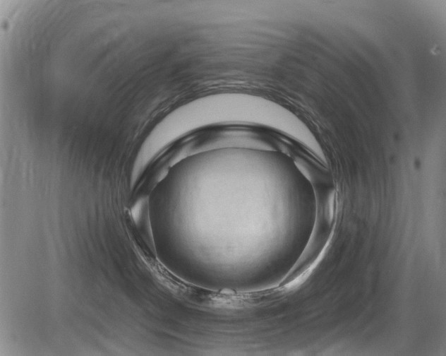 X0000084050190200702161516