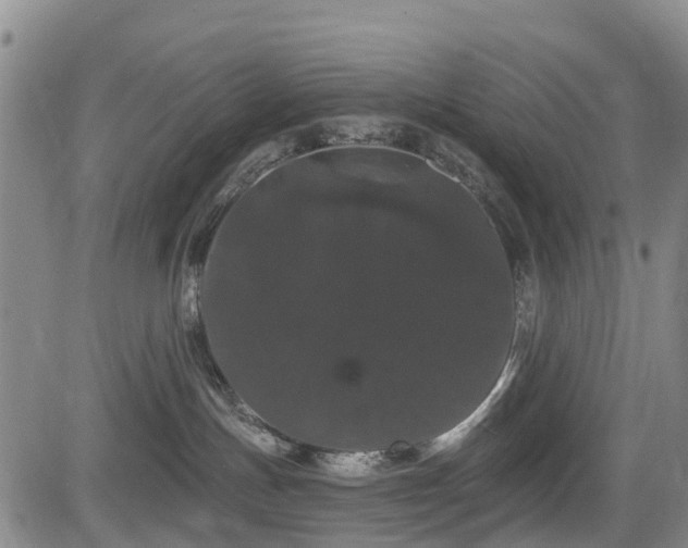 X0000084050191200702161516