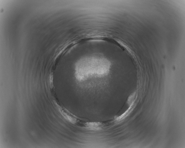 X0000084050192200702161516