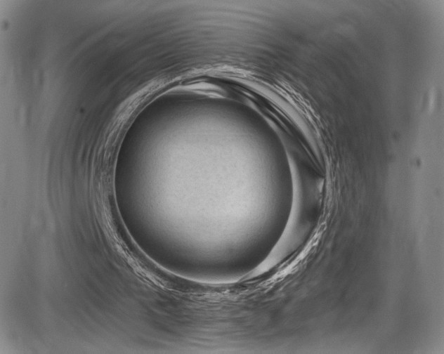 X0000084050193200702161515