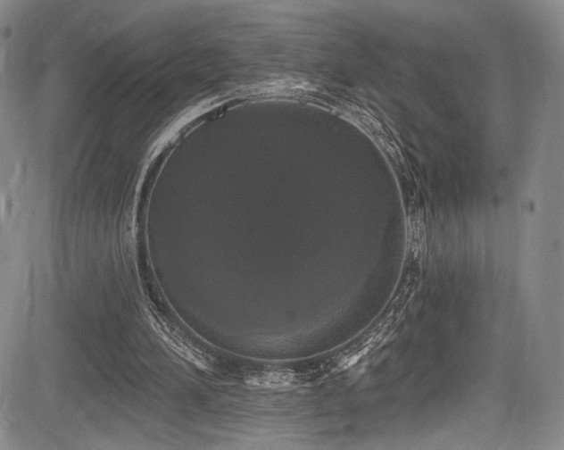 X0000084050196200702161515