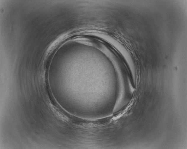 X0000084050197200702161515