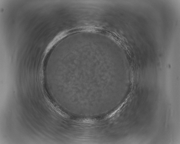 X0000084050198200702161515