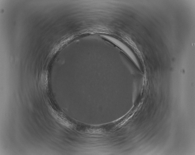 X0000084050202200702161515