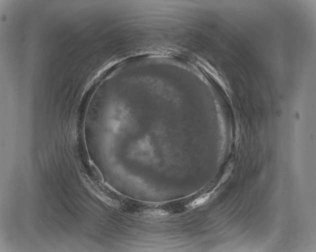 X0000084050203200702161515