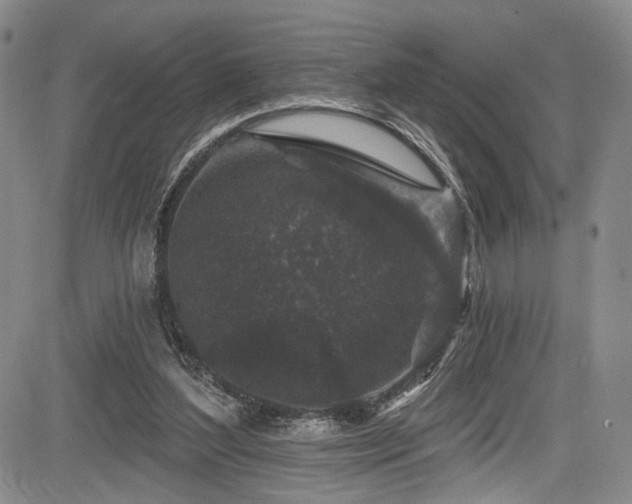 X0000084050204200702161515