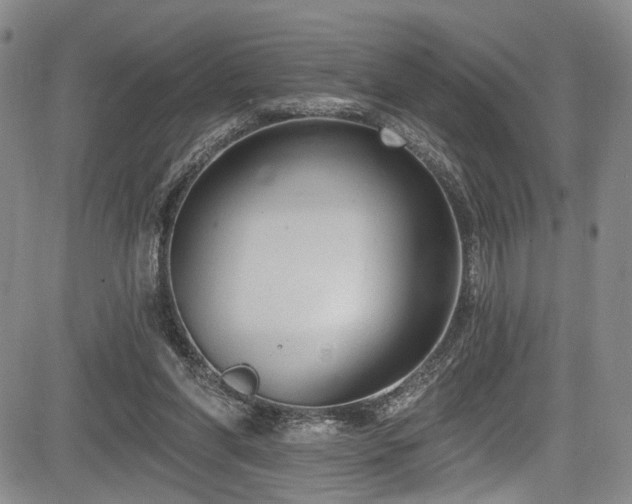 X0000084050206200702161515