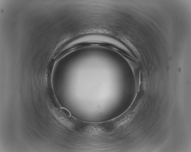 X0000084050207200702161515