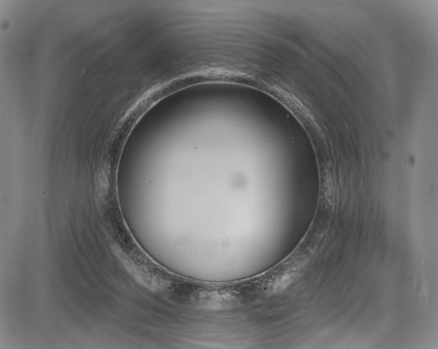 X0000084050208200702161515