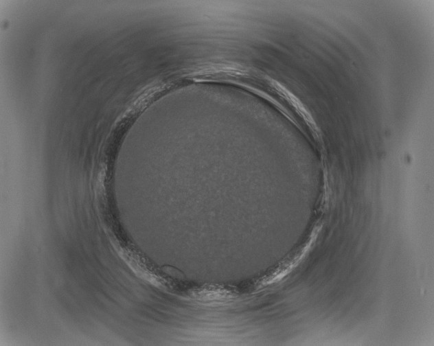 X0000084050209200702161515