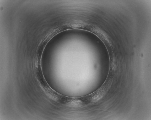 X0000084050210200702161515