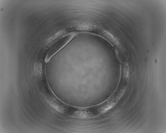 X0000084050211200702161515