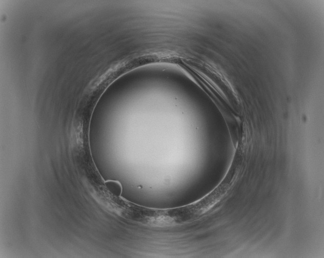 X0000084050212200702161515