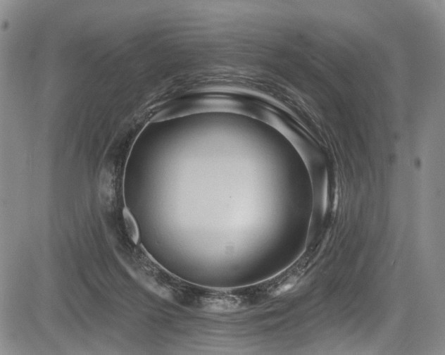 X0000084050215200702161515