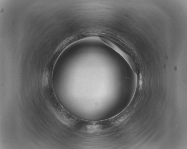 X0000084050216200702161515