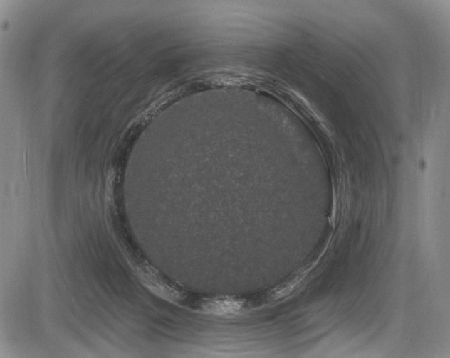 X0000084050217200702161515