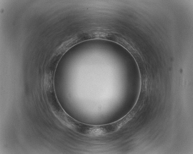 X0000084050218200702161515