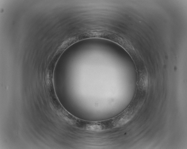 X0000084050220200702161515