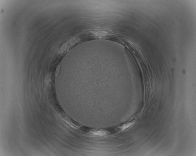 X0000084050221200702161515