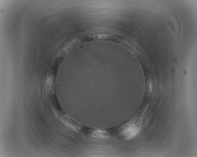 X0000084050222200702161515