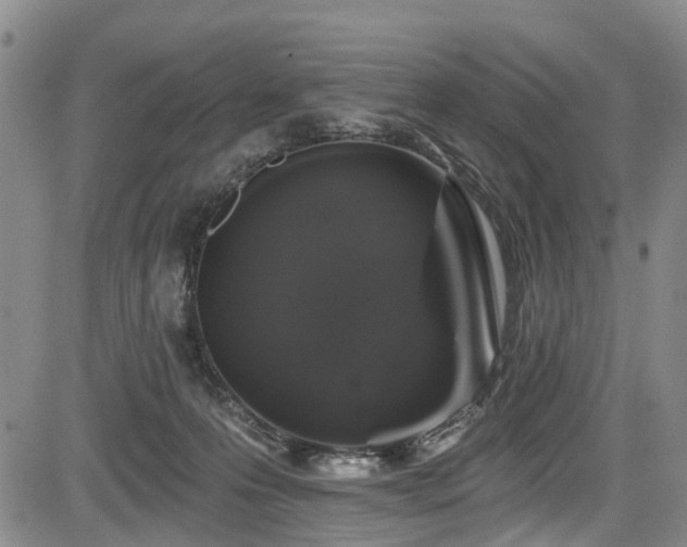 X0000084050223200702161515