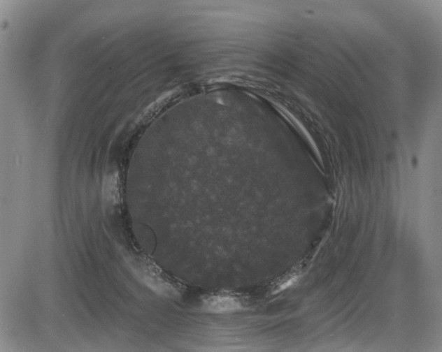 X0000084050224200702161515