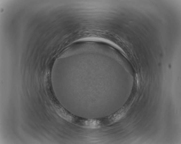 X0000084050225200702161515