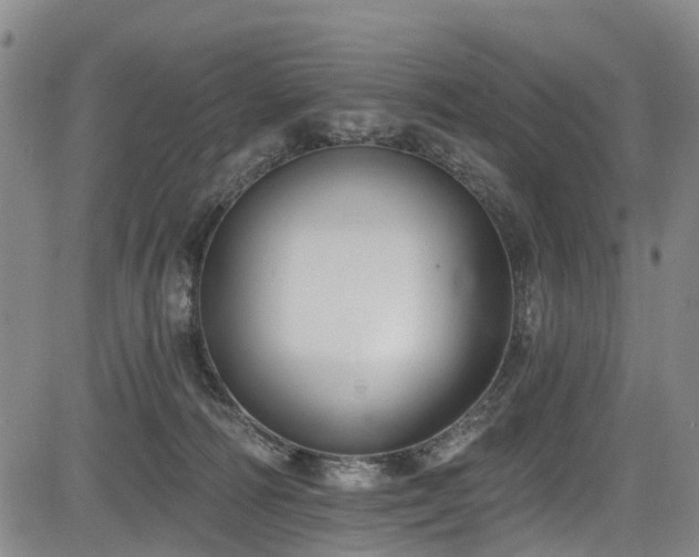 X0000084050226200702161515