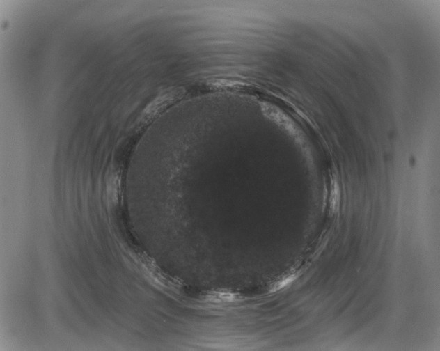 X0000084050227200702161515