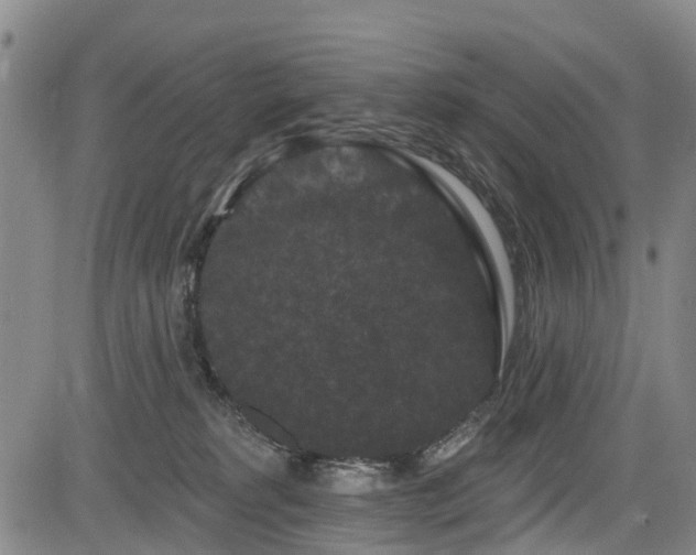 X0000084050229200702161515