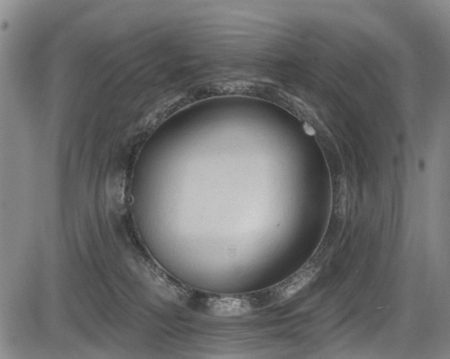 X0000084050230200702161515