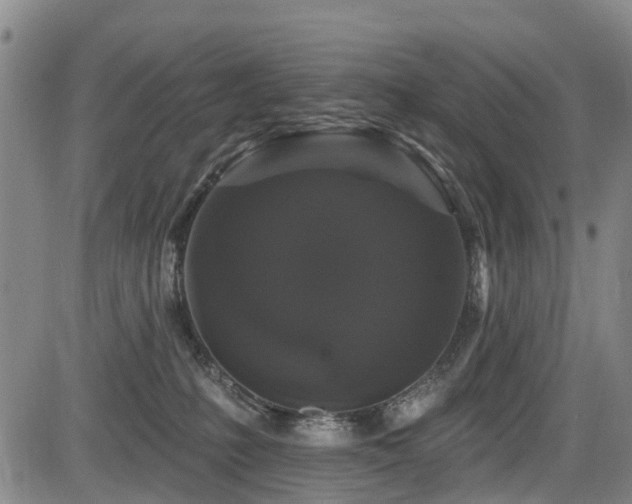 X0000084050231200702161515