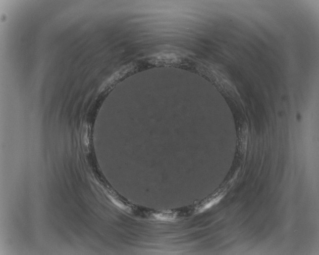 X0000084050232200702161515