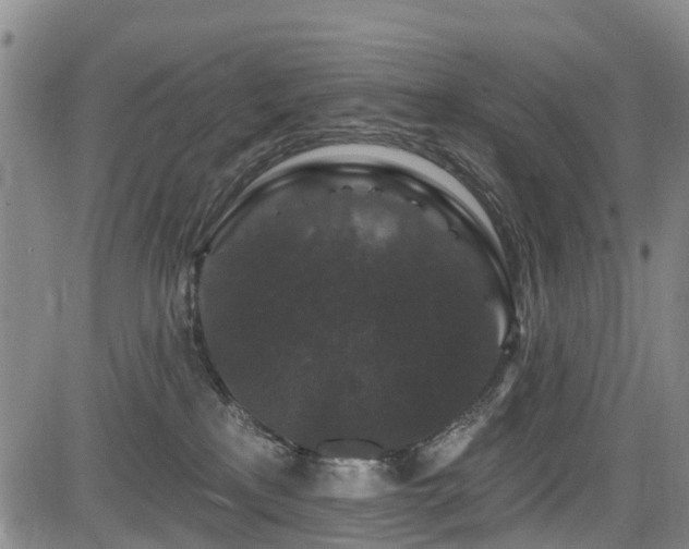 X0000084050233200702161515